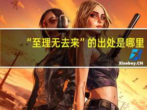 “至理无去来”的出处是哪里