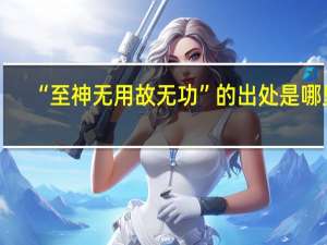 “至神无用故无功”的出处是哪里