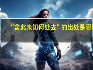 “舍此未知何处去”的出处是哪里