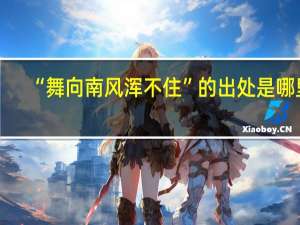“舞向南风浑不住”的出处是哪里