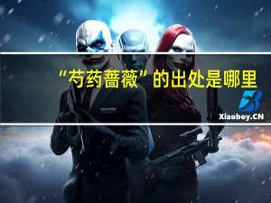 “芍药蔷薇”的出处是哪里