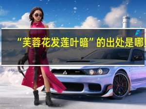 “芙蓉花发莲叶暗”的出处是哪里