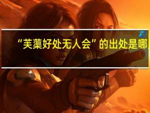 “芙蕖好处无人会”的出处是哪里