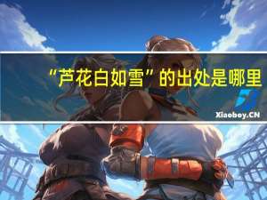 “芦花白如雪”的出处是哪里