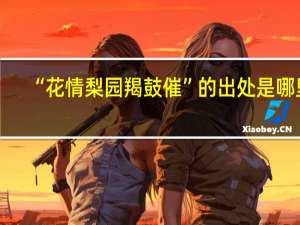 “花情梨园羯鼓催”的出处是哪里