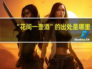 “花间一壶酒”的出处是哪里