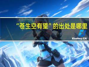 “苍生空有望”的出处是哪里
