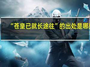 “苍皇已就长途往”的出处是哪里