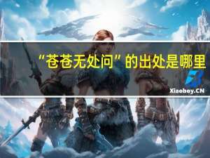 “苍苍无处问”的出处是哪里