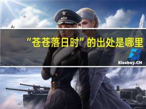 “苍苍落日时”的出处是哪里