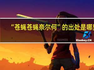 “苍蝇苍蝇奈尔何”的出处是哪里