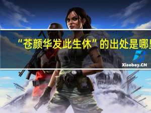 “苍颜华发此生休”的出处是哪里