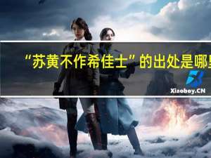 “苏黄不作希佳士”的出处是哪里