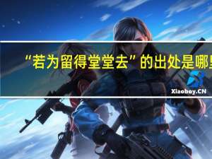 “若为留得堂堂去”的出处是哪里