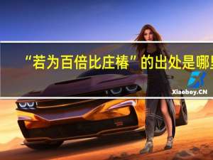 “若为百倍比庄椿”的出处是哪里