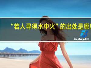 “若人寻得水中火”的出处是哪里