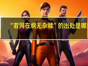 “若网在纲无杂糅”的出处是哪里