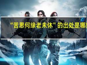 “苦思何缘老未休”的出处是哪里