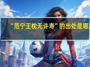 “范宁王枕无许寿”的出处是哪里