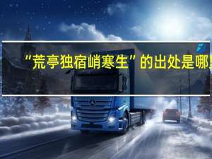 “荒亭独宿峭寒生”的出处是哪里
