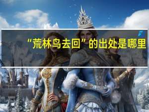 “荒林鸟去回”的出处是哪里