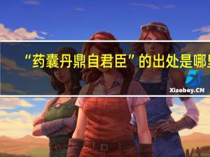 “药囊丹鼎自君臣”的出处是哪里