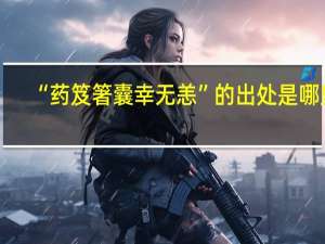 “药笈箸囊幸无恙”的出处是哪里