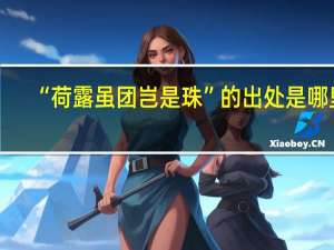 “荷露虽团岂是珠”的出处是哪里