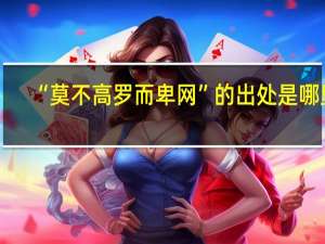 “莫不高罗而卑网”的出处是哪里