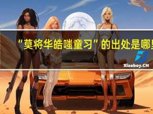 “莫将华皓嗤童习”的出处是哪里