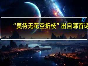 “莫待无花空折枝”出自哪首诗,全文是什么