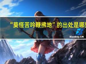 “莫怪苦吟鞭拂地”的出处是哪里