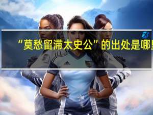 “莫愁留滞太史公”的出处是哪里