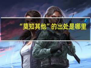 “莫知其他”的出处是哪里