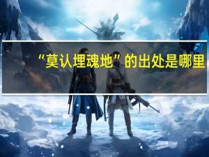 “莫认埋魂地”的出处是哪里