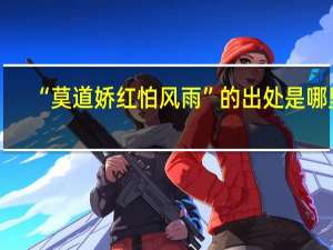“莫道娇红怕风雨”的出处是哪里
