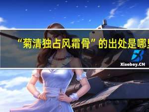 “菊清独占风霜骨”的出处是哪里