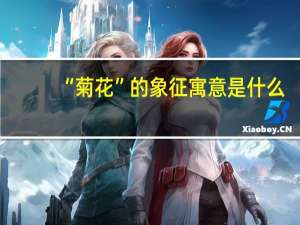 “菊花”的象征寓意是什么？