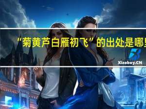 “菊黄芦白雁初飞”的出处是哪里