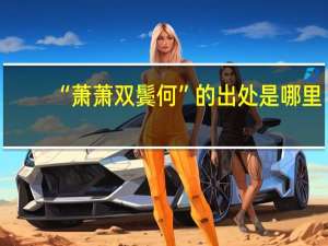 “萧萧双鬓何”的出处是哪里