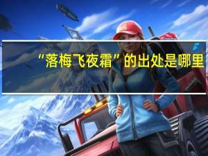 “落梅飞夜霜”的出处是哪里