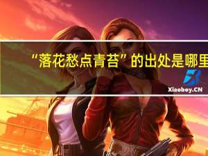 “落花愁点青苔”的出处是哪里