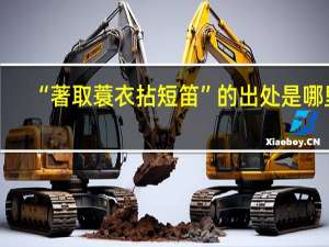 “著取蓑衣拈短笛”的出处是哪里