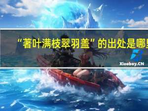 “著叶满枝翠羽盖”的出处是哪里