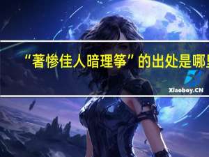 “著惨佳人暗理筝”的出处是哪里