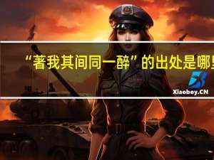 “著我其间同一醉”的出处是哪里