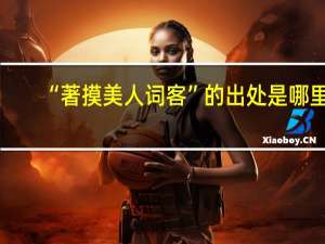 “著摸美人词客”的出处是哪里