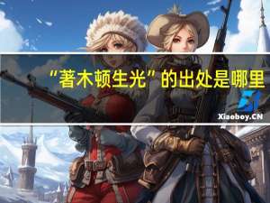 “著木顿生光”的出处是哪里