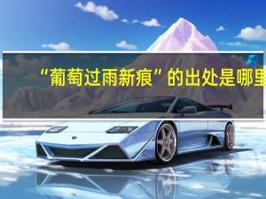 “葡萄过雨新痕”的出处是哪里