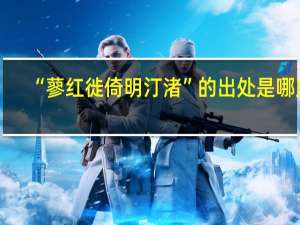 “蓼红徙倚明汀渚”的出处是哪里